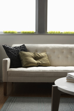 Contact Organic Carpet Cleaning